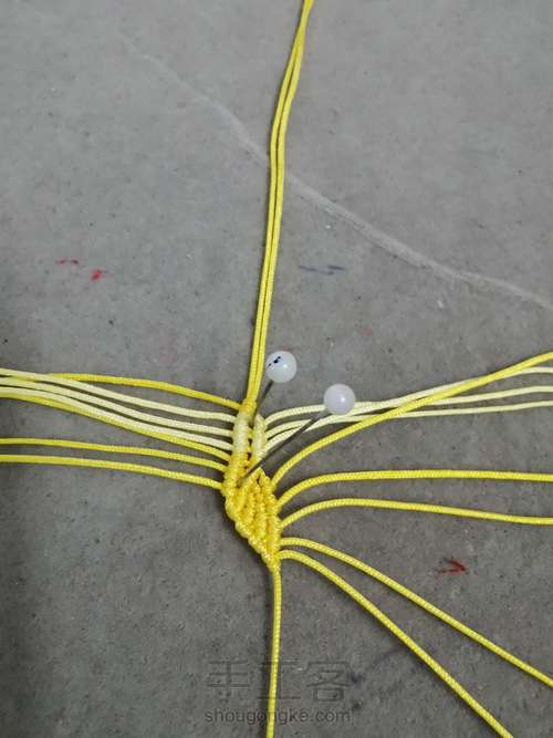 玉线桃花 第4步