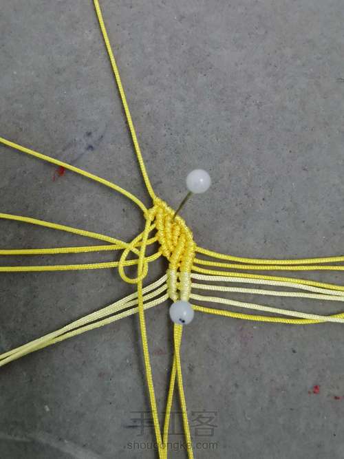 玉线桃花 第5步