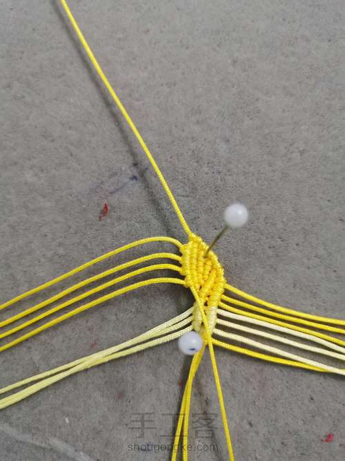 玉线桃花 第6步