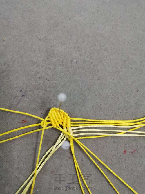 玉线桃花 第7步