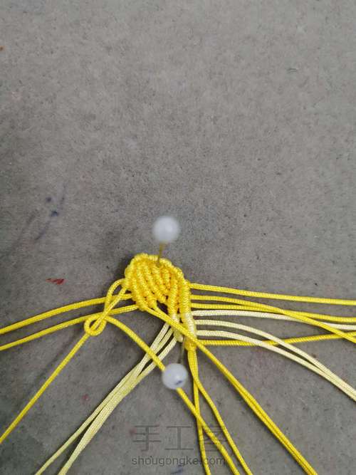 玉线桃花 第8步