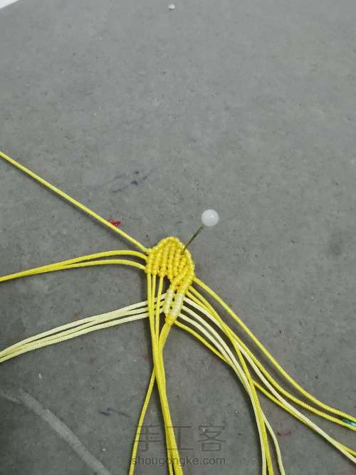 玉线桃花 第9步