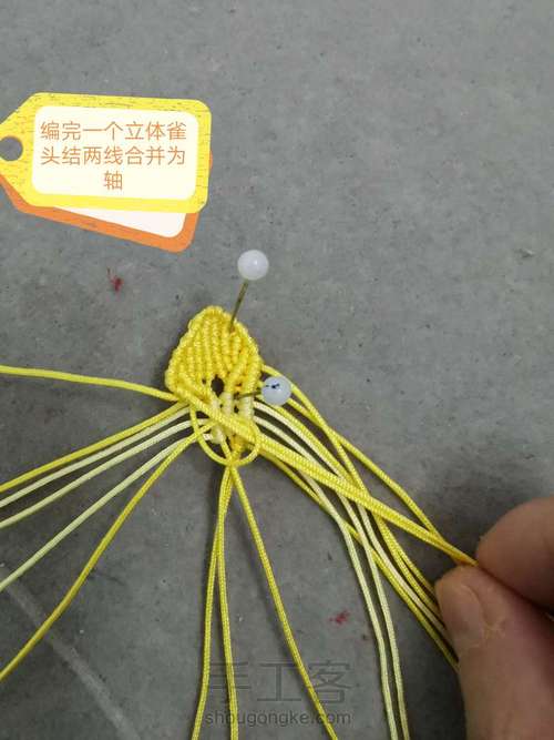 玉线桃花 第13步