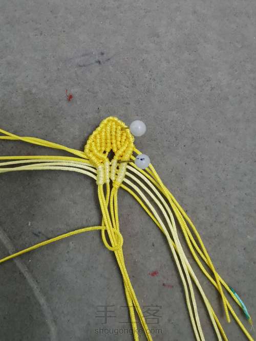 玉线桃花 第14步