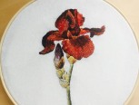 一朵玫瑰的刺绣过程及针法