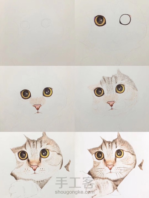 有灵气猫猫的圆珠笔画法1 第1步