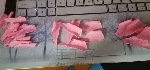 木槿花 第3步