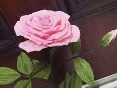 粉色月季花的花语是初恋，可以同于表白以及传达爱意。不同颜色的月季花语有所不同，白色月季花的花语是纯洁、尊敬、崇高，红色月季花的花语是热恋，一般是当做爱情信物，表达对爱情的向往