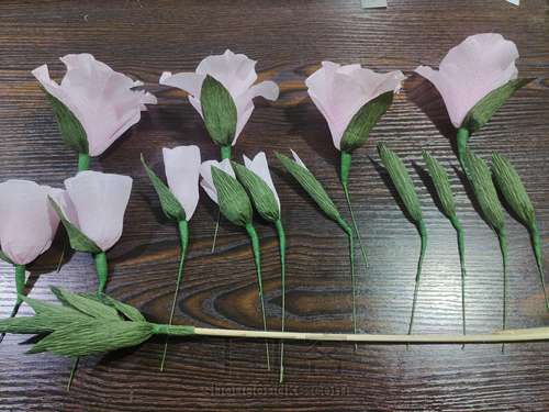 手工制作剑兰花 第14步