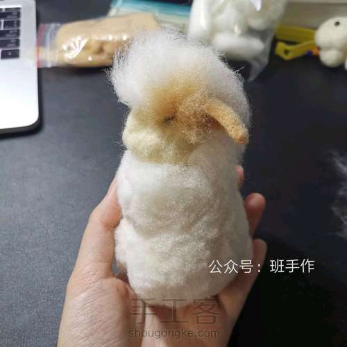 兔子羊毛毡 第17步