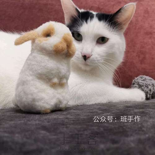 兔子羊毛毡 第22步