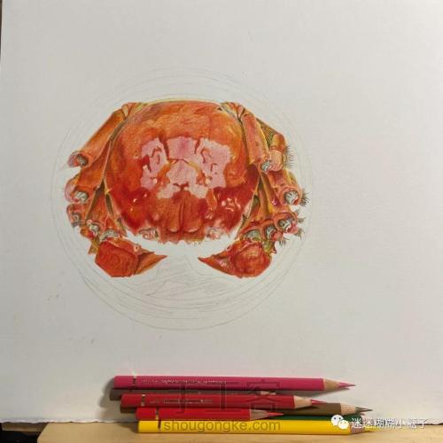 彩铅结合水彩手绘美食大闸蟹 第6步