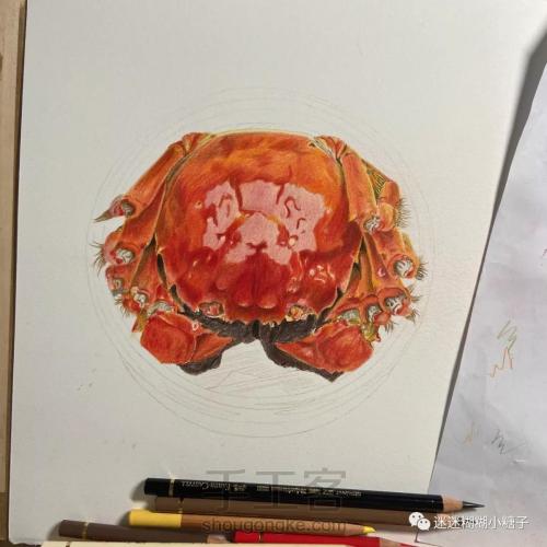 彩铅结合水彩手绘美食大闸蟹 第7步