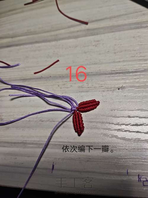 雏菊小花 第16步