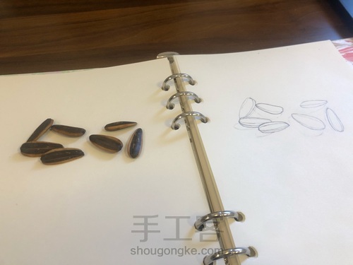 吃瓜子过敏，画几个磨练意志 第1步