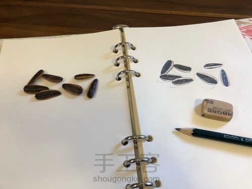 吃瓜子过敏，画几个磨练意志 第2步