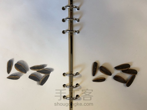 吃瓜子过敏，画几个磨练意志 第4步