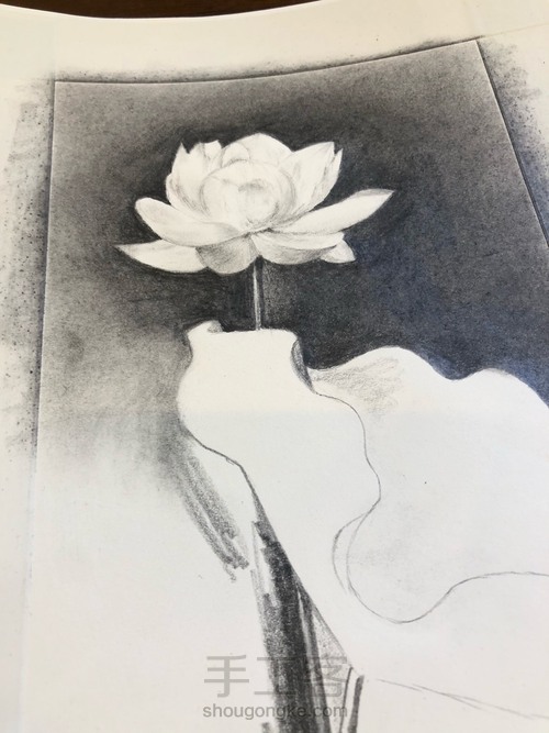 墨荷 素描 第2步