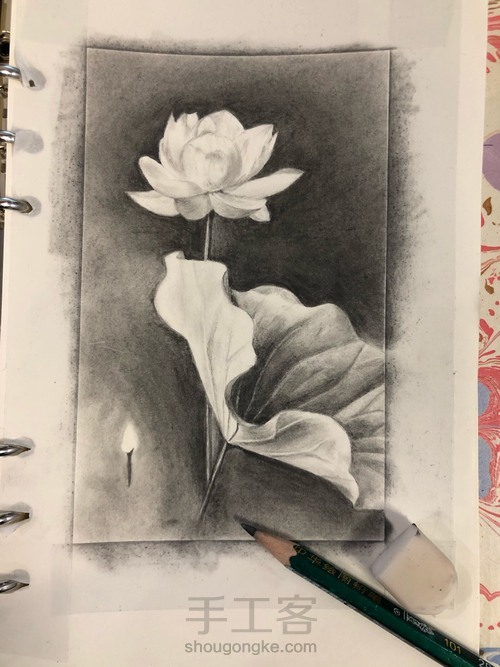 墨荷 素描 第3步