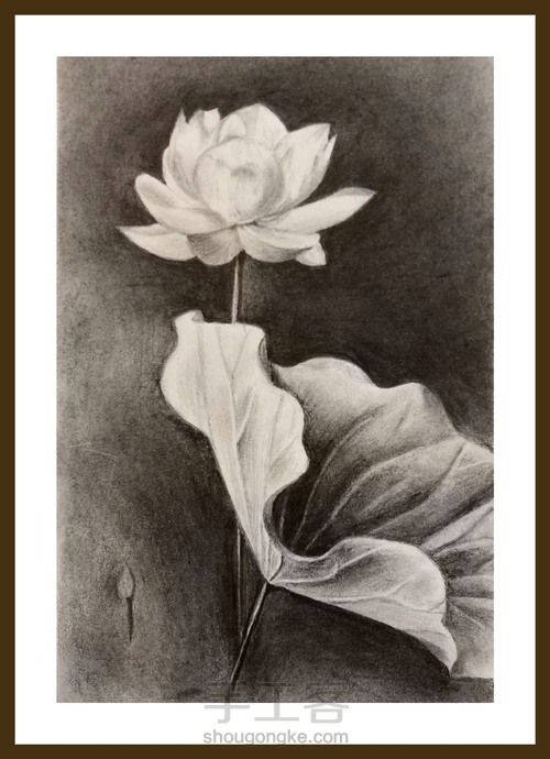 墨荷 素描 第4步