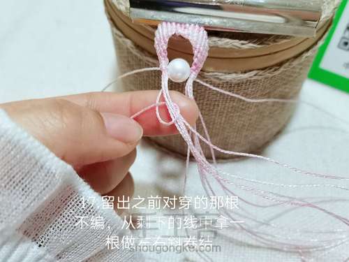 幻彩小天鹅的详细教程 第19步