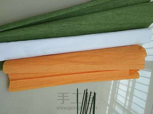 马蹄莲教程 第1步