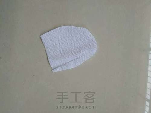 马蹄莲教程 第2步