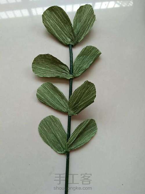 马蹄莲教程 第5步