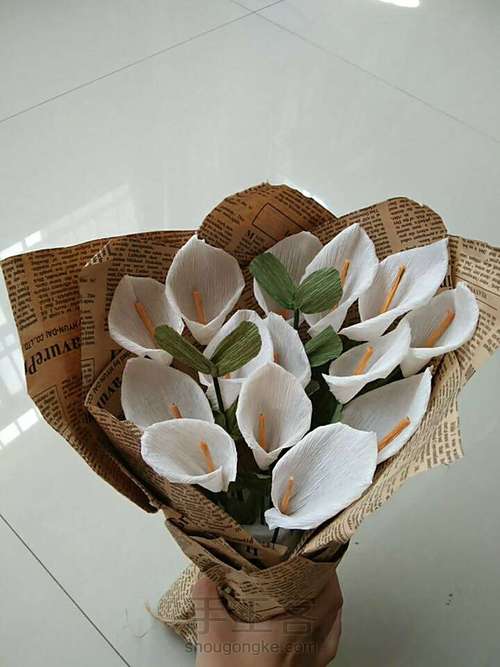 马蹄莲教程 第6步