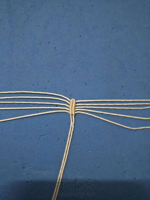 水仙2.0（记录） 第1步