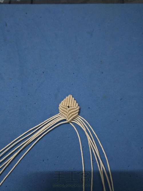 水仙2.0(记录) 第8步