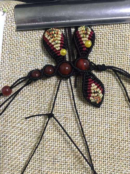 彩色大蜻蜓 第21步