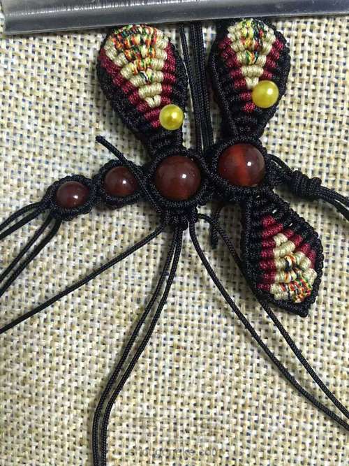 彩色大蜻蜓 第23步