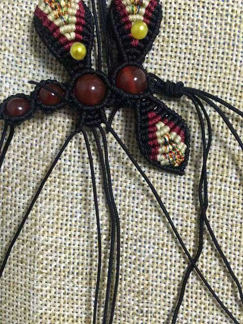 彩色大蜻蜓 第24步