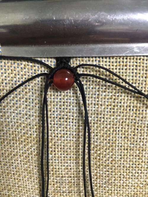 彩色大蜻蜓 第7步