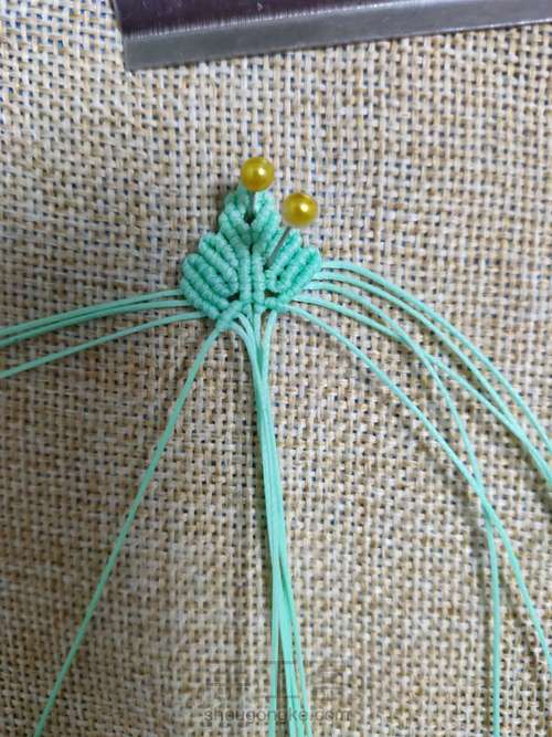 小清新蝴蝶 第21步