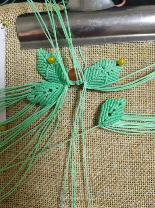 小清新蝴蝶 第36步