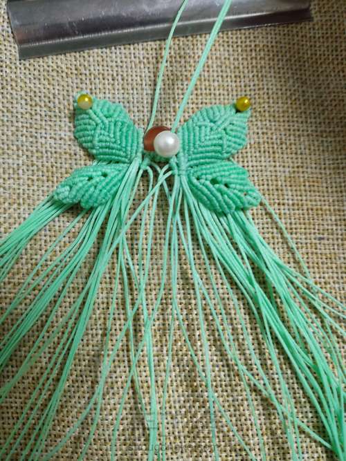 小清新蝴蝶 第37步