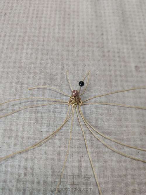 扣头:珊瑚玉小方牌 第10步