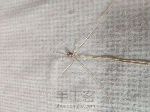 扣头:珊瑚玉小方牌 第2步