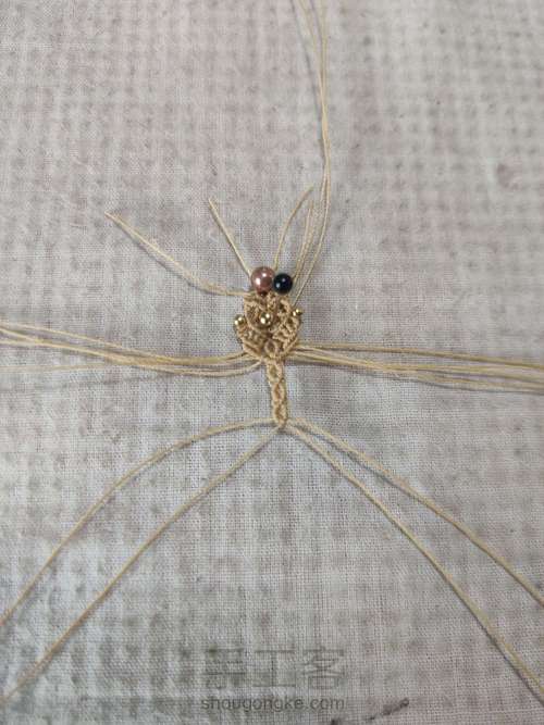 扣头:珊瑚玉小方牌 第20步