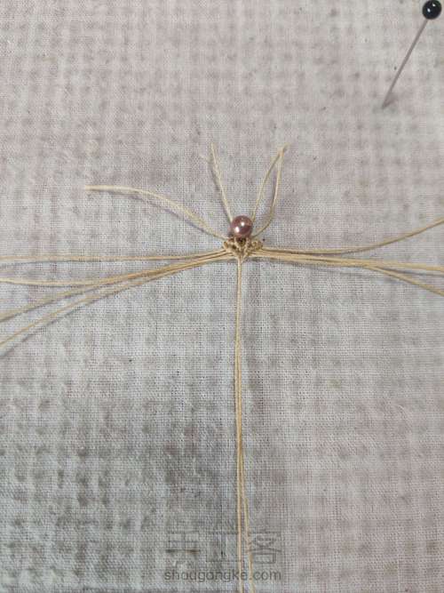 扣头:珊瑚玉小方牌 第8步