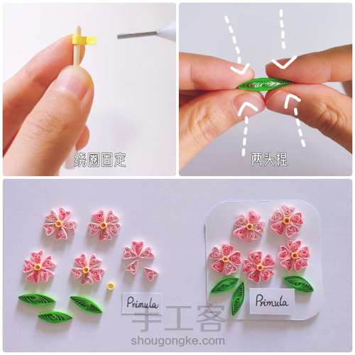 【衍纸💌教程】樱草📮 Primula 第2步