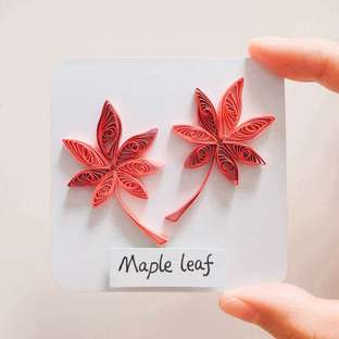 【衍纸🍂教程】枫叶🍁Maple leaf