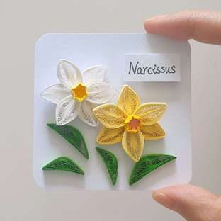 【衍纸☁教程】水仙花🌛Narcissus