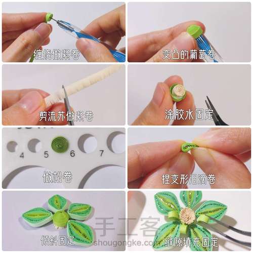 『衍纸🍅教程』圣诞玫瑰✨装饰画 第2步