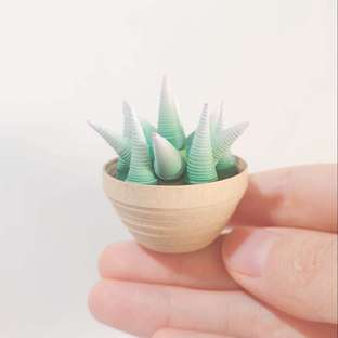 【衍纸😽教程】多肉🧊小精灵③