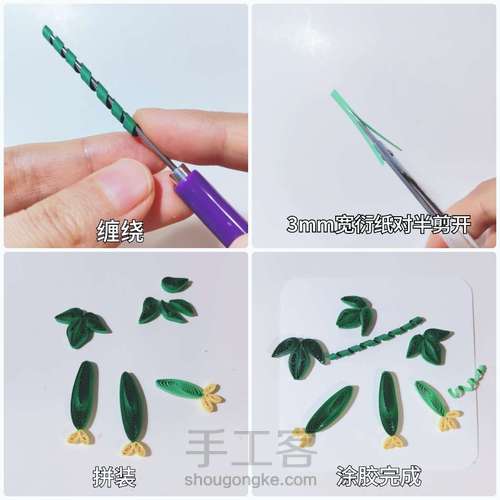 【衍纸🥗教程】黄瓜🥒Cucumber 第3步