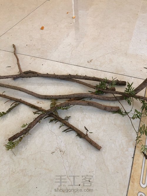如何用路边树枝做一个创意小楼梯 第1步