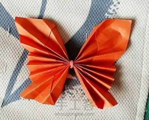 蝴蝶折纸 蝴蝶的折法 手工简单又漂亮 第13步